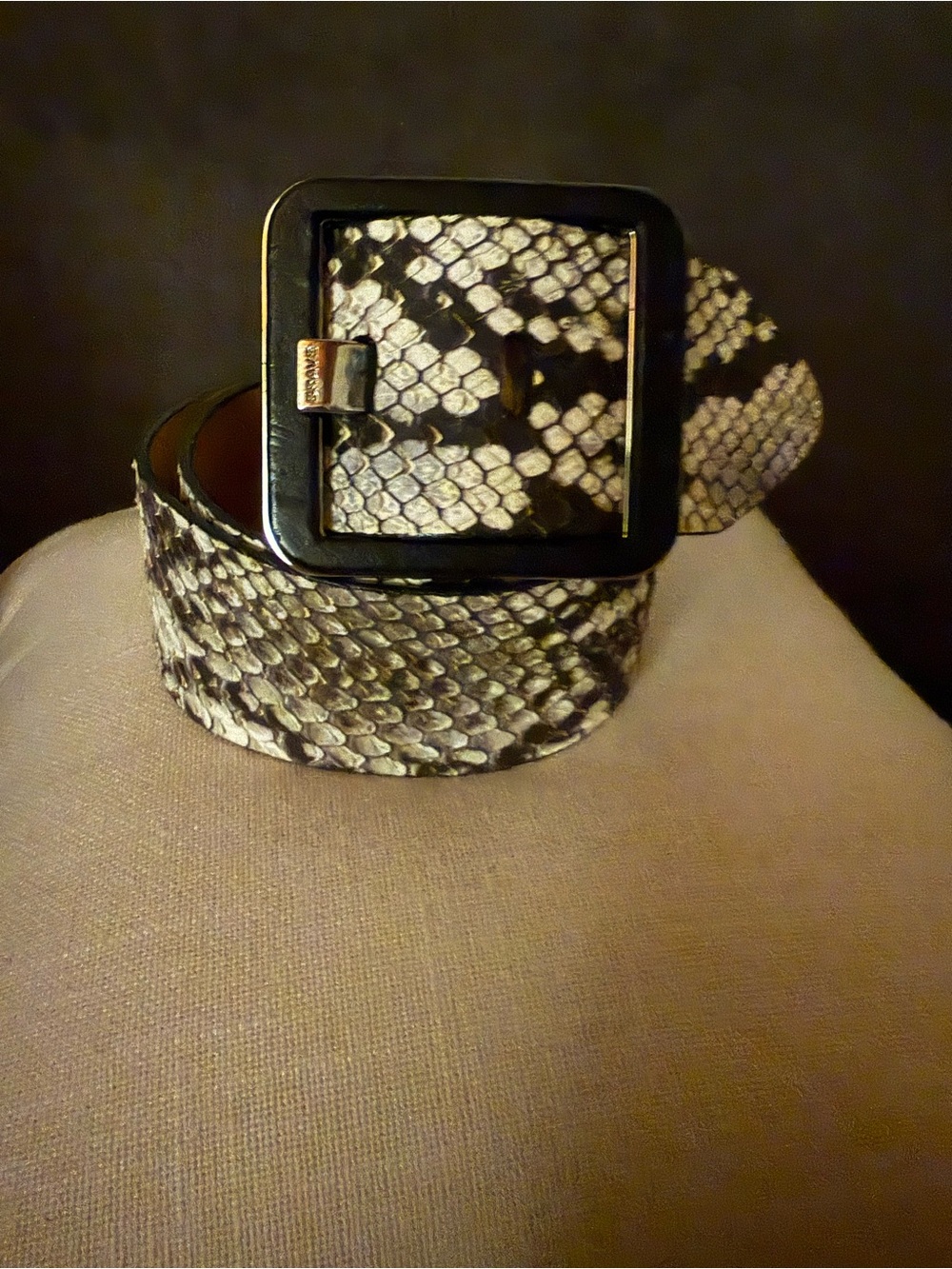 Brave Snake-Print Reptile Accessory Belt - Black & Cream